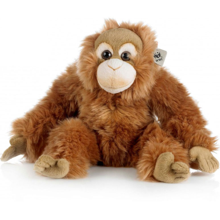 Orangutang - WWF (Verdens naturfond)