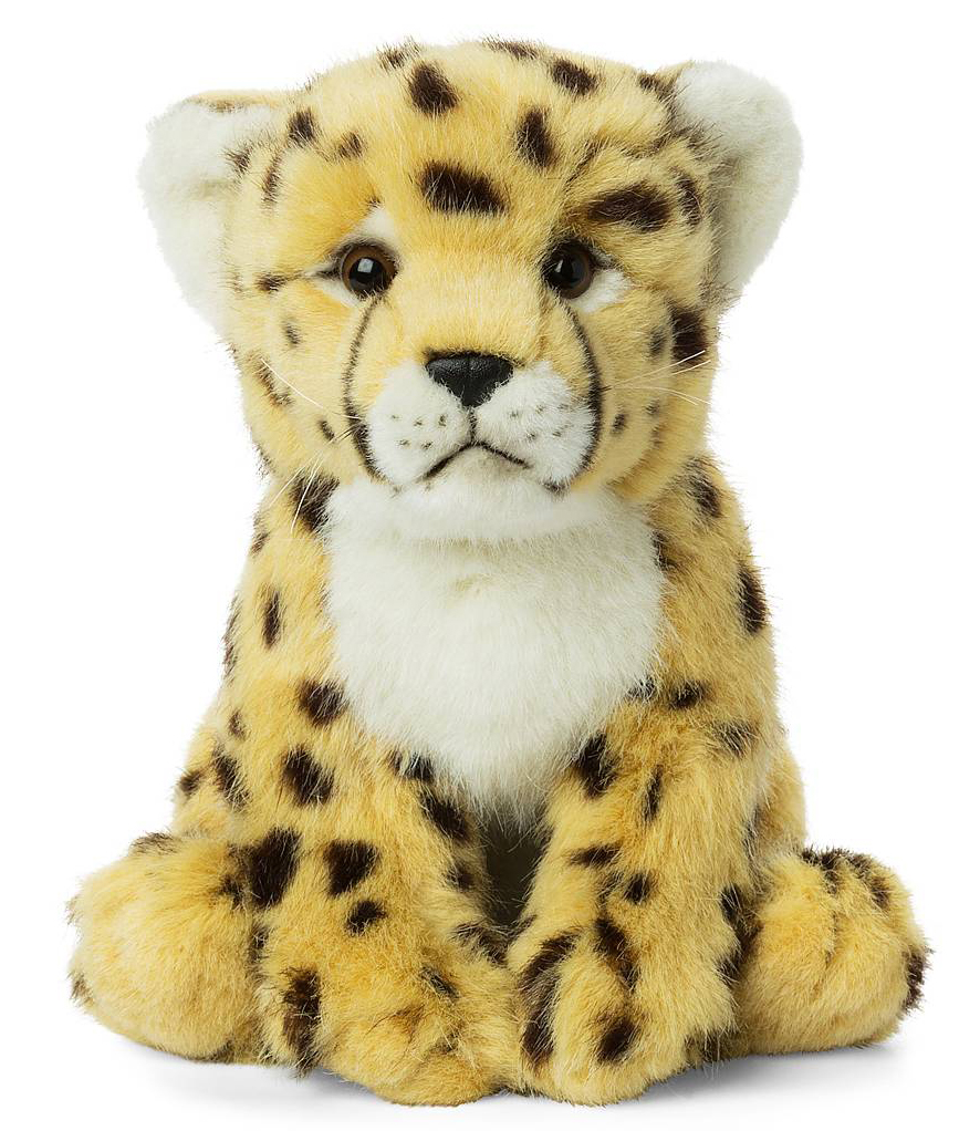 Gepard - WWF (Verdens naturfond)