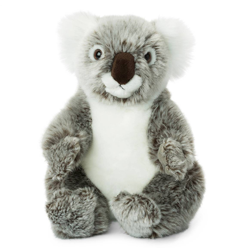 Koala - WWF (Verdens naturfond)