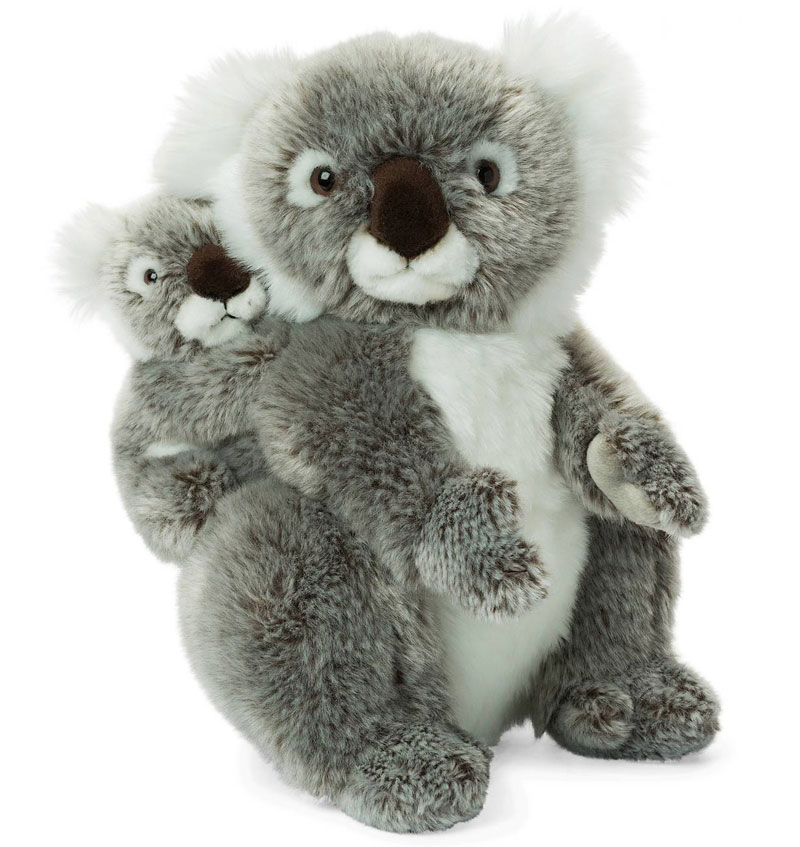 Koala med baby - WWF (Verdens naturfond)