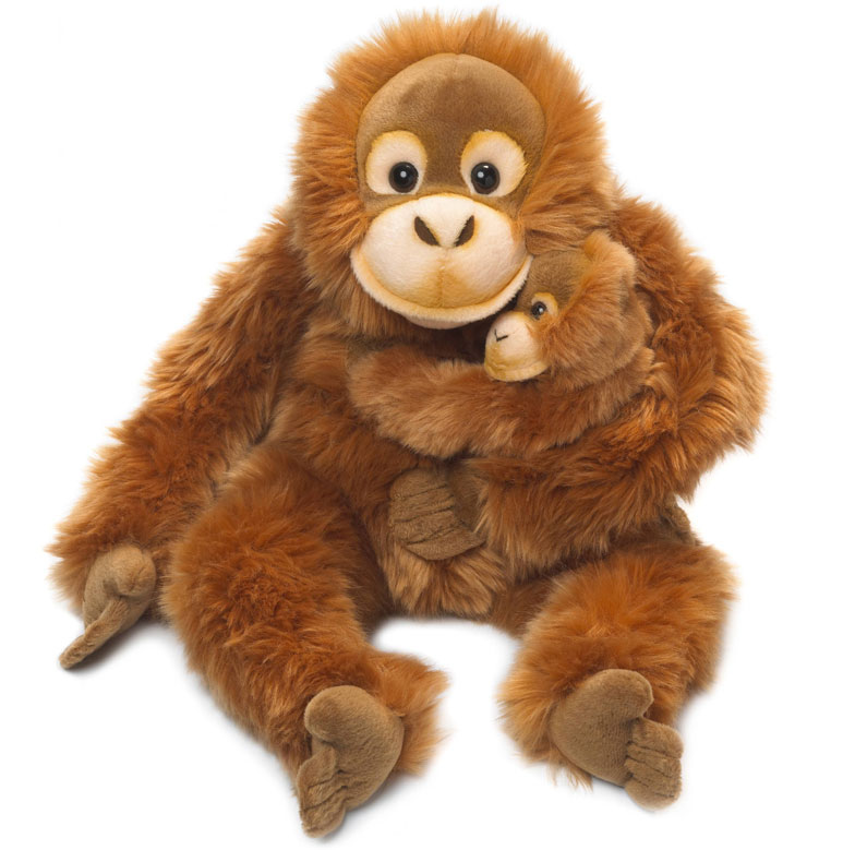 Orangutang med baby - WWF (Verdens naturfond)