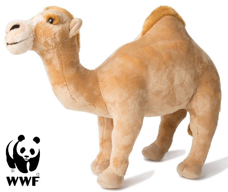 Dromedar - WWF (Verdens naturfond)