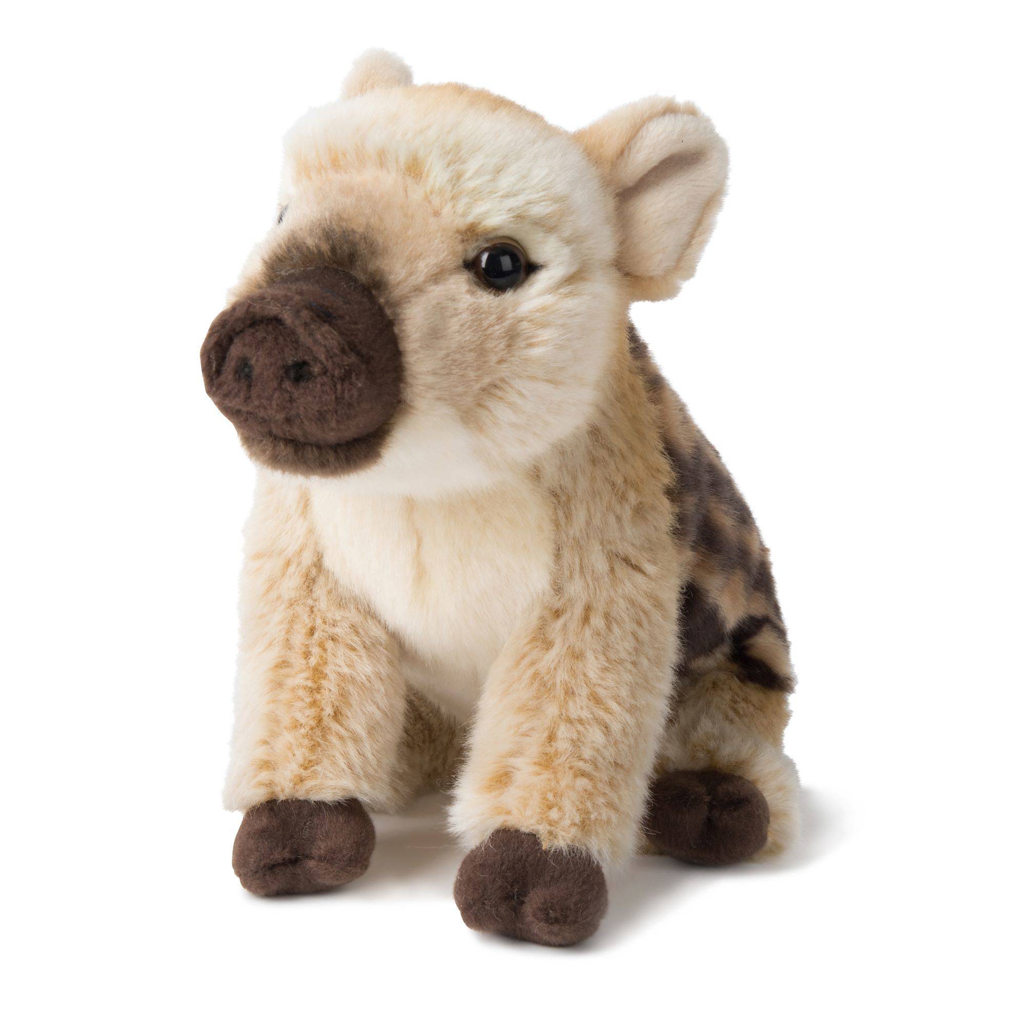 Villsvin - WWF (Verdens naturfond)