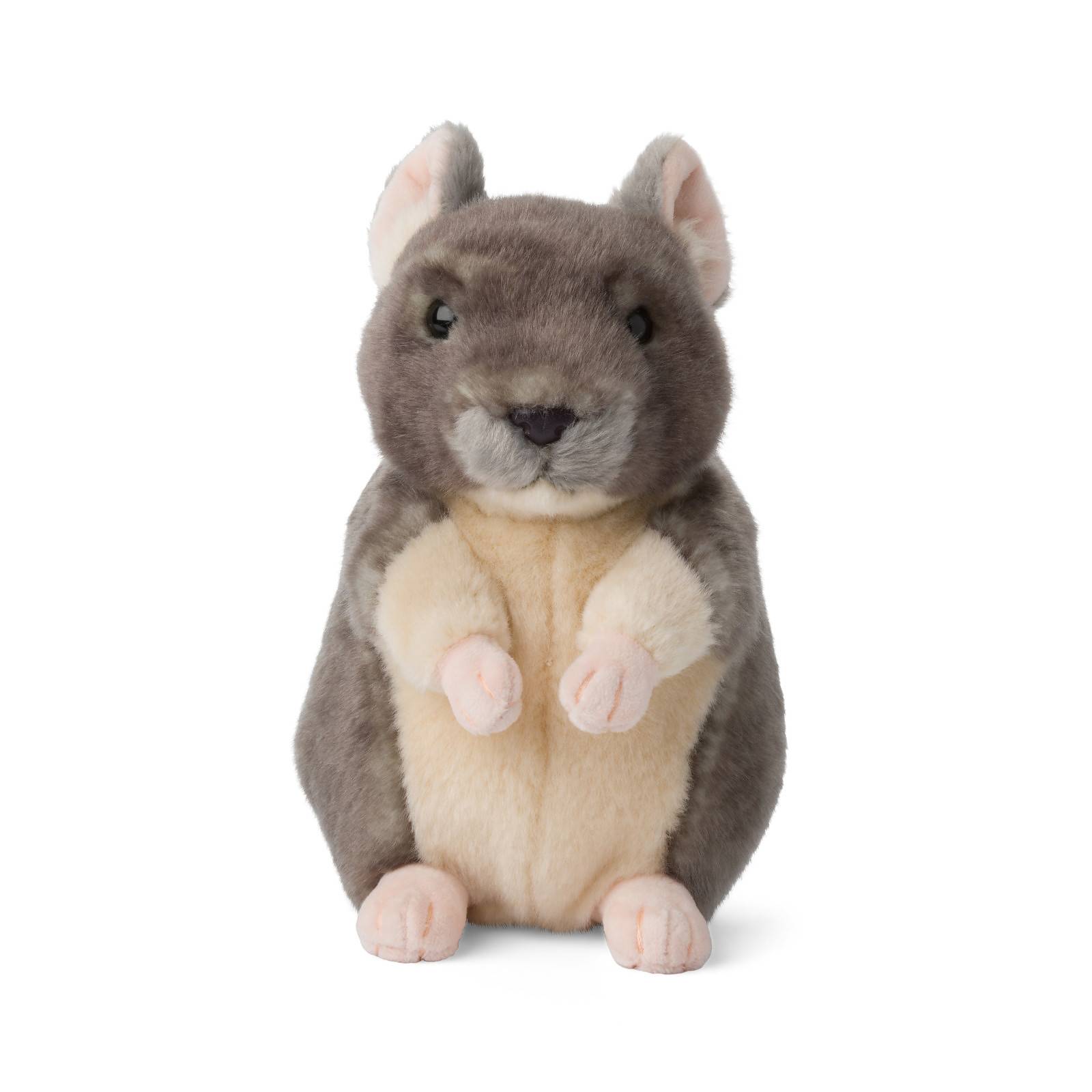 Chinchilla - WWF (Verdens naturfond)