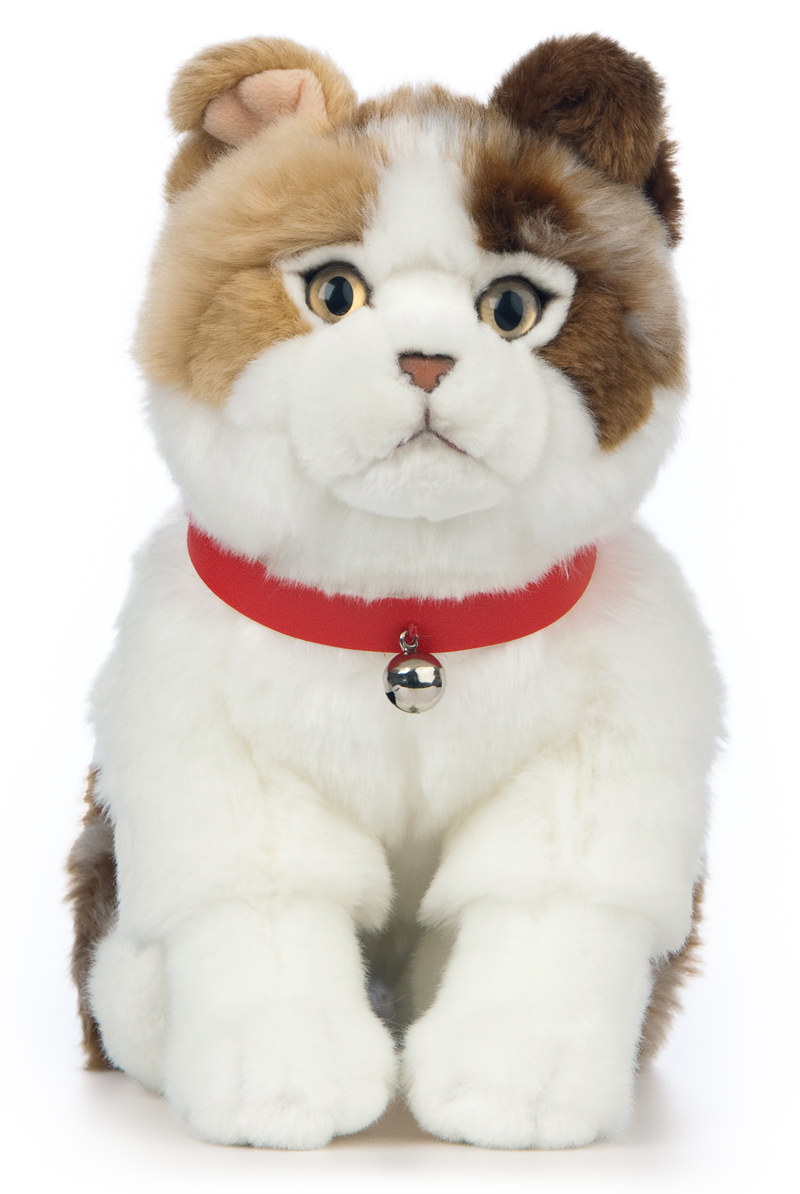 Scottish Fold (Kat) - Keycraft Living Nature