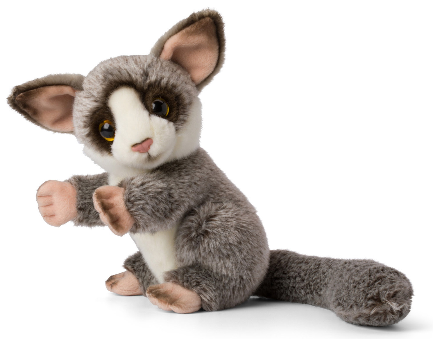 Galago - WWF (Verdens naturfond)