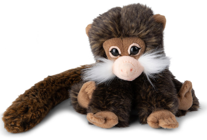 Tamarin - WWF (Verdens naturfond)
