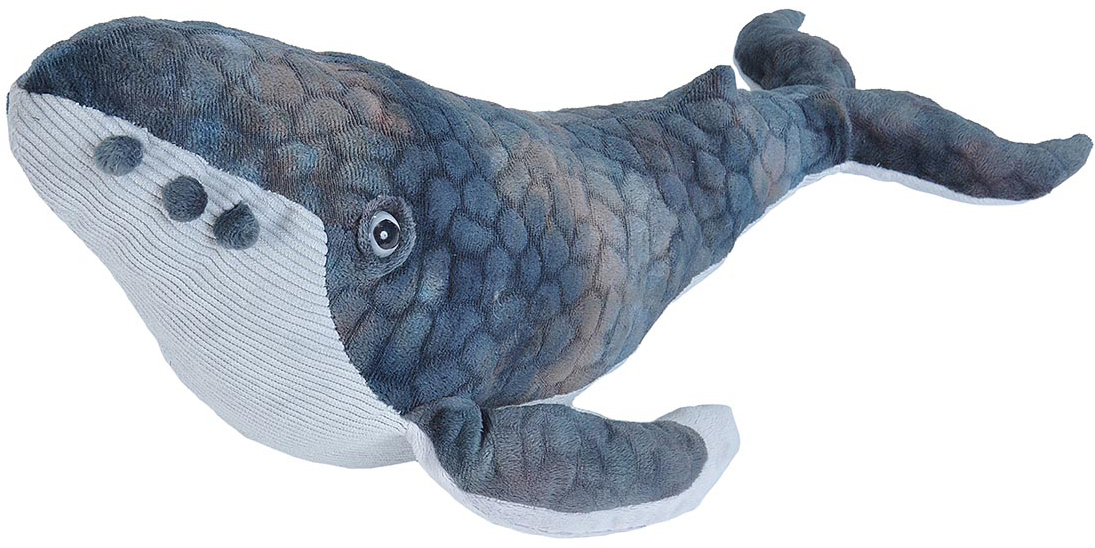 Knølhval, 38cm - Wild Republic