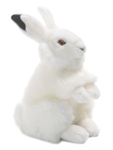 Vinterhare - WWF (Verdens naturfond)