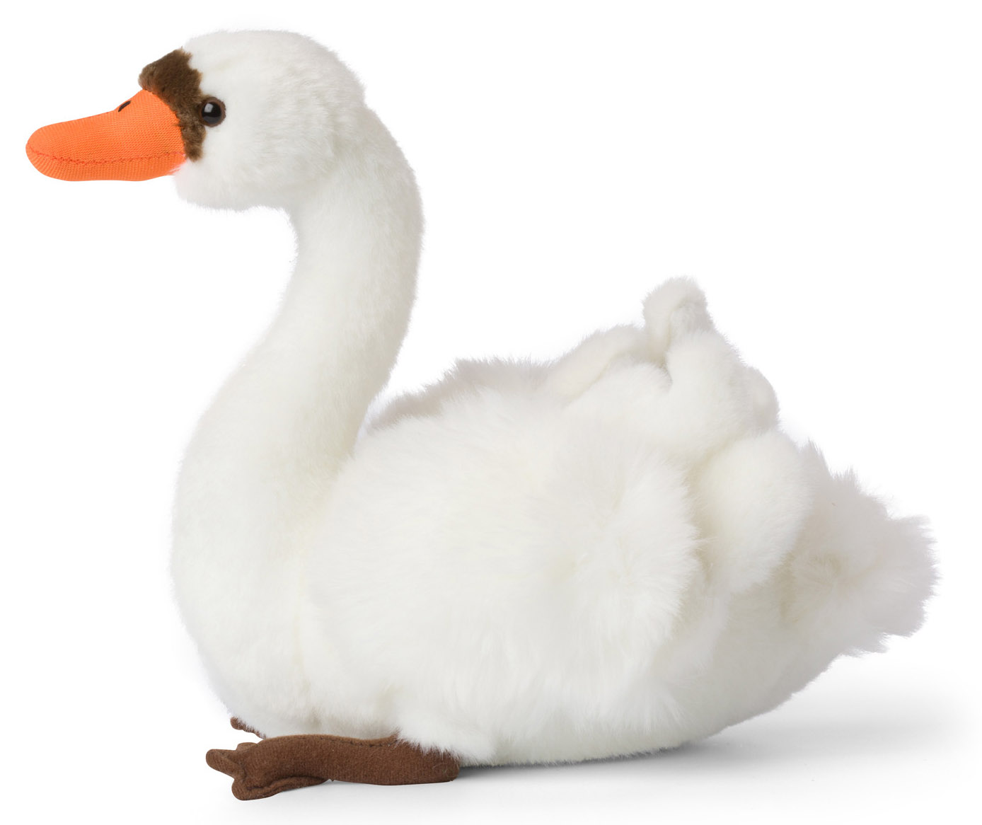 Svan - WWF (Verdens naturfond)