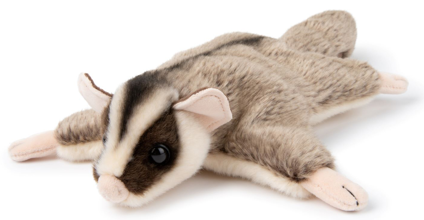Flygekorndyr - WWF (Verdens naturfond)
