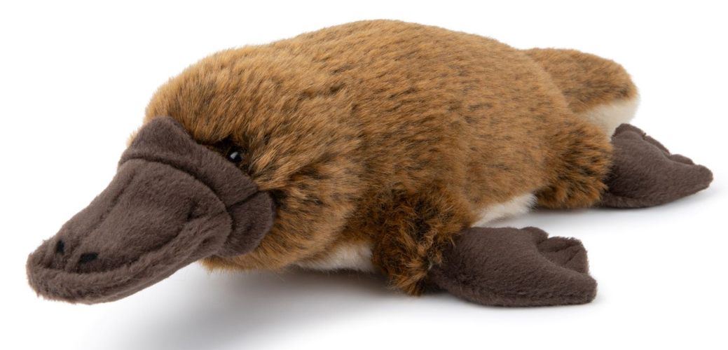 Nebbdyr - WWF (Verdens naturfond)